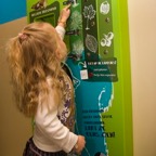 opening biotopenberpeetersklein